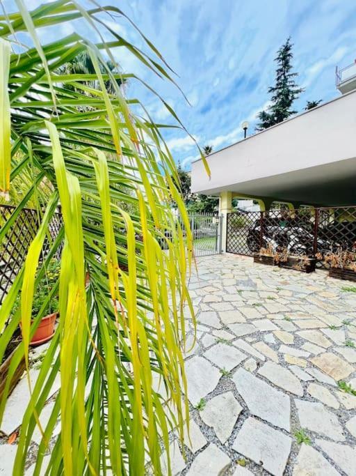 Suite Dei Fiori - Luxury Open Space Sanremo Exteriér fotografie